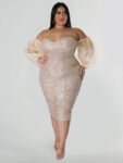 Contrast Mesh Off Shoulder Sequin Dress