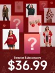 Holiday Mystery Box-Sweater & Accessory