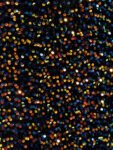a1b53ac5-3772-4165-9bef-5e8e0981c21c-1697164271702-3